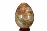 Colorful, Polished Petrified Wood Egg - Madagascar #172525-1